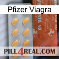 Pfizer Viagra 43